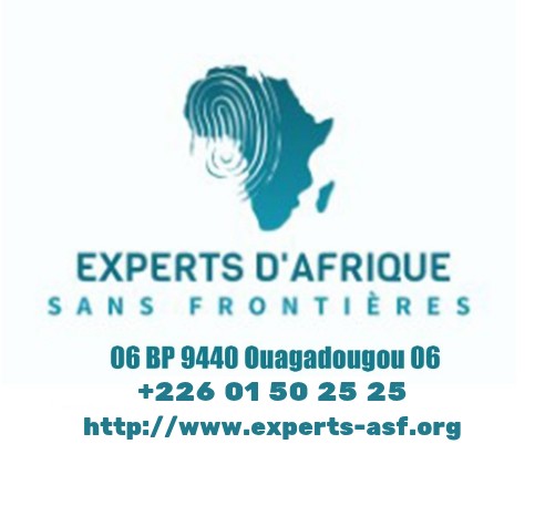 Logo Experts d’Afrique Sans Frontière